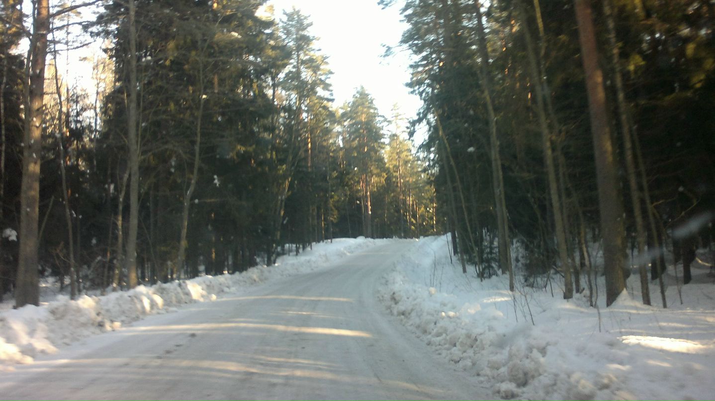 Родион Сулейманов | Элистанжи