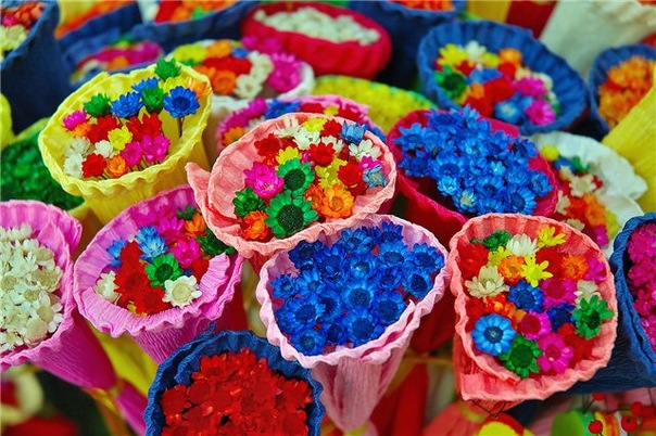 №118, Valeria Faiz, Doha №118, Valeria Faiz, Doha