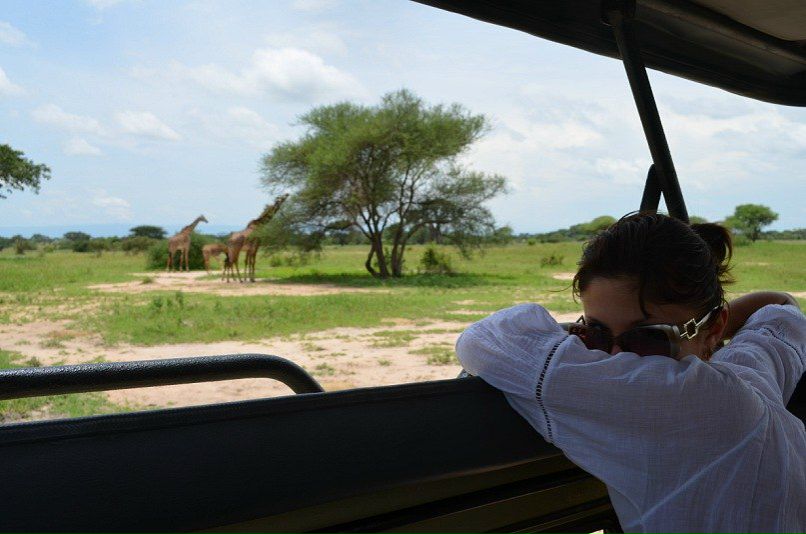 №5, Анна Галкина №5, Анна Галкина