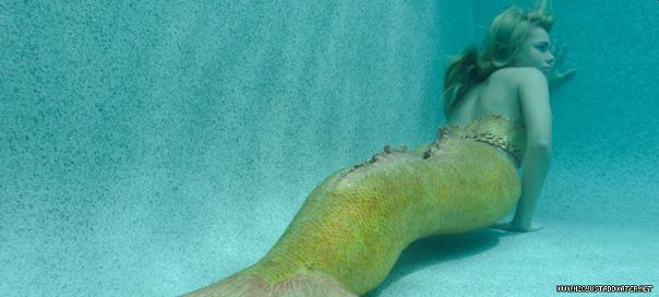 №24, Кариба Хейн, 37 лет, Sydney №24, Кариба Хейн, 37 лет, Sydney