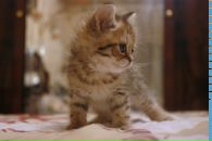 №14 Арианна Сущевская 11.01.1995: профиль, фото, статус - ВКонтакте