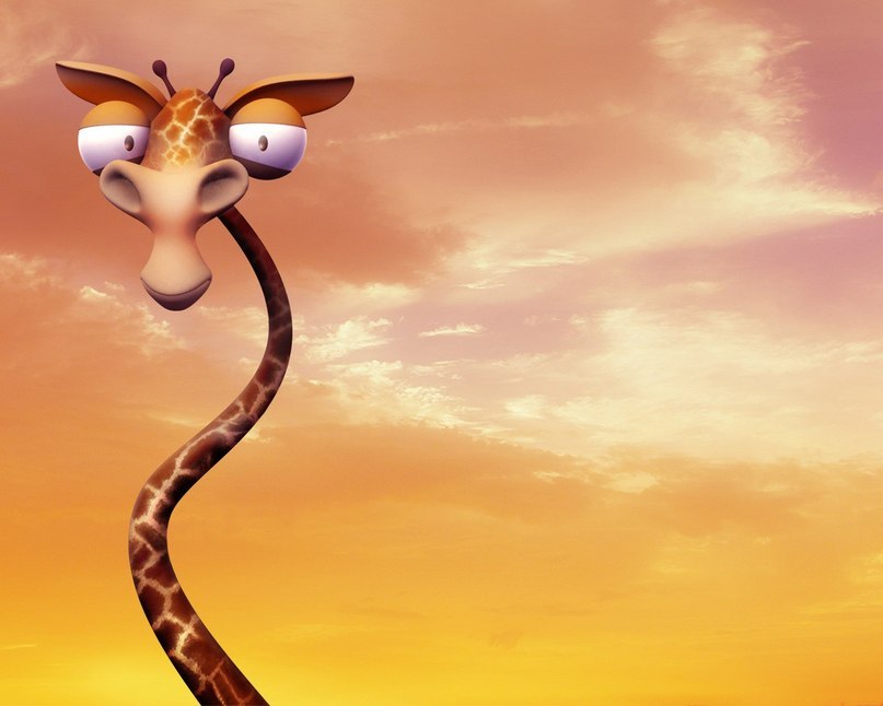 София Фролова | Ровно