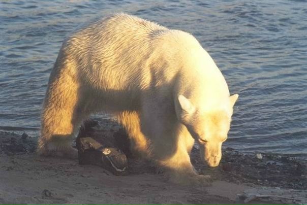 №9, Вячеслав Милхен №9, Вячеслав Милхен