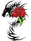 №1, Сергей Козачёк, Запорожье №1, Сергей Козачёк, Запорожье