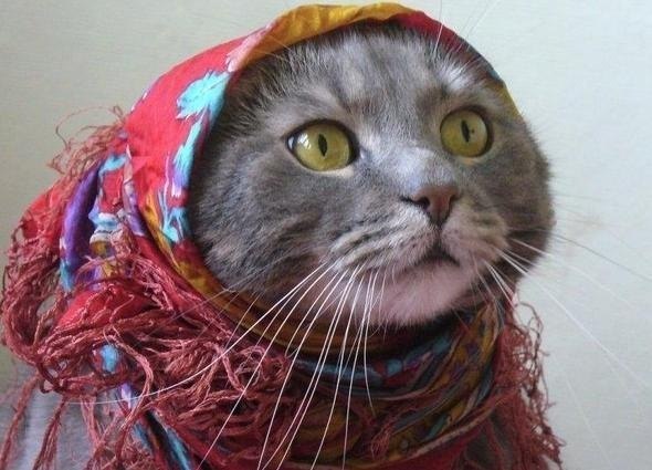 Наталья Шавреева Sofi | Мелитополь