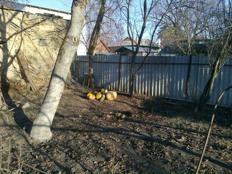 Дима Шиян | Чернигов