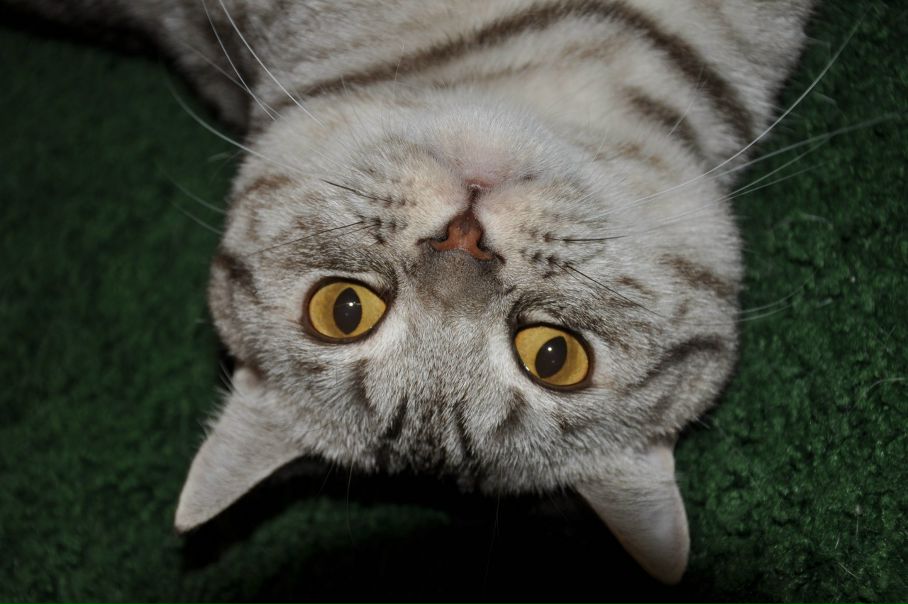 №57, Евгений Юртаев, Москва №57, Евгений Юртаев, Москва