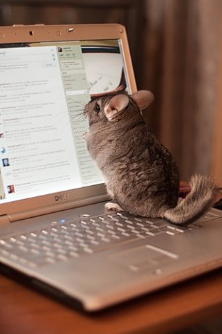 №20, Ммм Ддд, Череповец №20, Ммм Ддд, Череповец