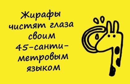 №154, Полина Белан, Москва №154, Полина Белан, Москва