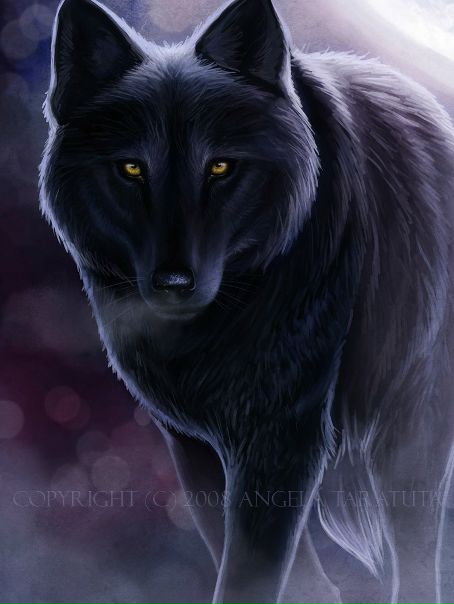 №95, Сергей Васильев, 29.4.1992, Los Angeles №95, Сергей Васильев, 29.4.1992, Los Angeles