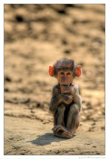 №87, Natasha Добрынина, Архангельск №87, Natasha Добрынина, Архангельск