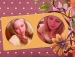 Юлия Матвеева фотография #21