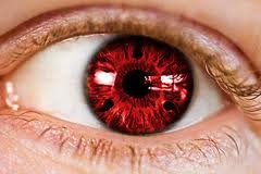 №39, Олег Новицкий, Киев №39, Олег Новицкий, Киев