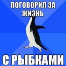 Павлик Лисицын, 30 лет, Нижний Новгород, Россия, 19.08.1994