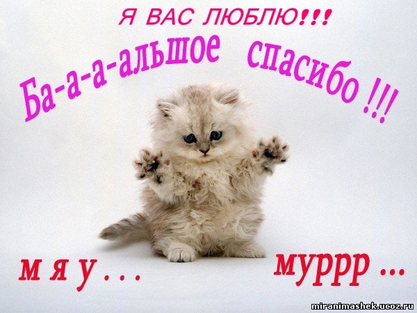 №13, Алена Маслова №13, Алена Маслова