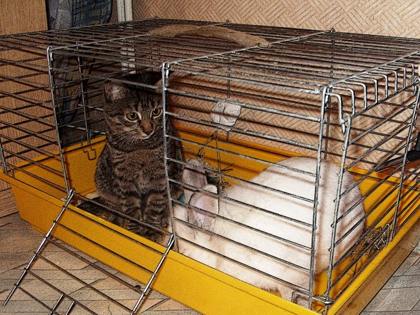 №6, Настоящая Дурочка, 35 лет, Волгоград №6, Настоящая Дурочка, 35 лет, Волгоград