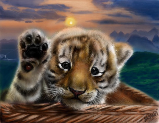 №8, Андрей Беляев, Светлогорск №8, Андрей Беляев, Светлогорск