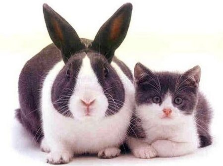 №5, Алексей Лукьяненко №5, Алексей Лукьяненко