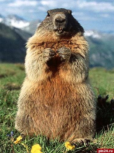 №1, Тарас Романюк, Киев №1, Тарас Романюк, Киев