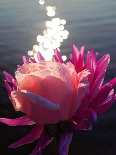 №8, Елена Филиппова, Тюмень №8, Елена Филиппова, Тюмень