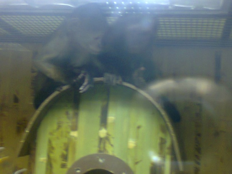 Анна Свищ ✿ܓBaRsY4kA✿ܓ | Харьков