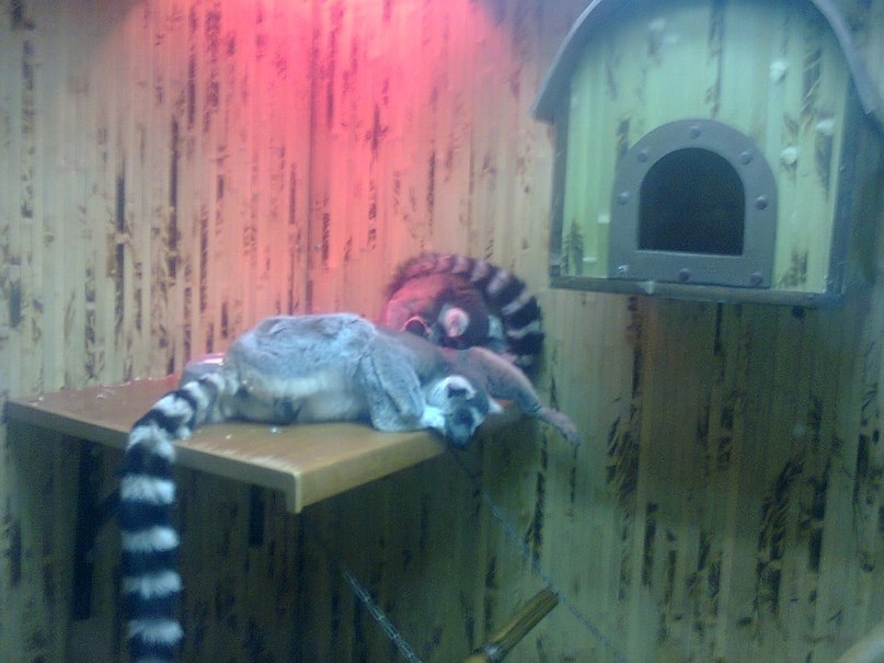 Анна Свищ ✿ܓBaRsY4kA✿ܓ | Харьков