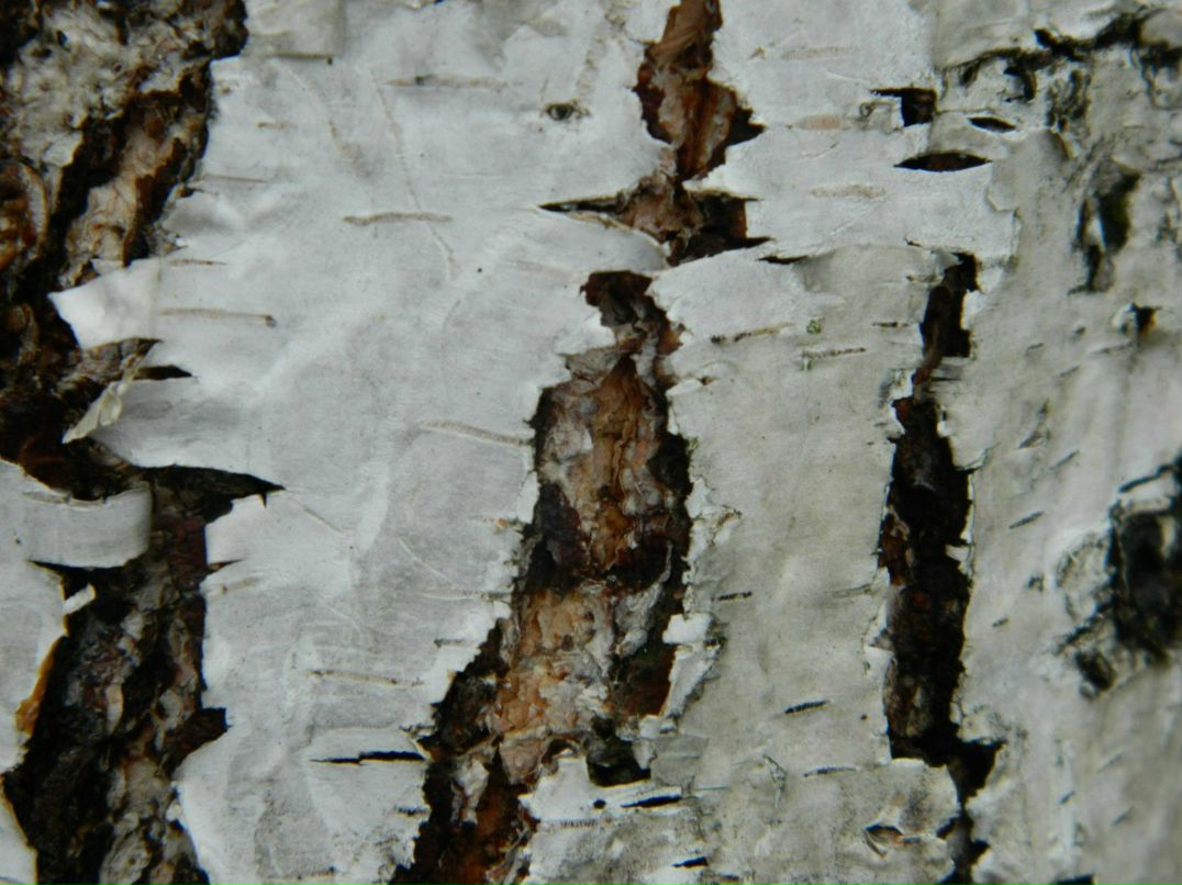 Виталий Михалюк | Киев