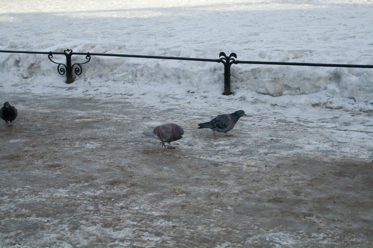 Leonard Kamenskiy Леонид А. Каменский | Санкт-Петербург