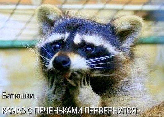 Дмитрий Красовский | Москва