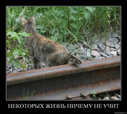 M-O-L-C H-A-N-A | Беэр Шева