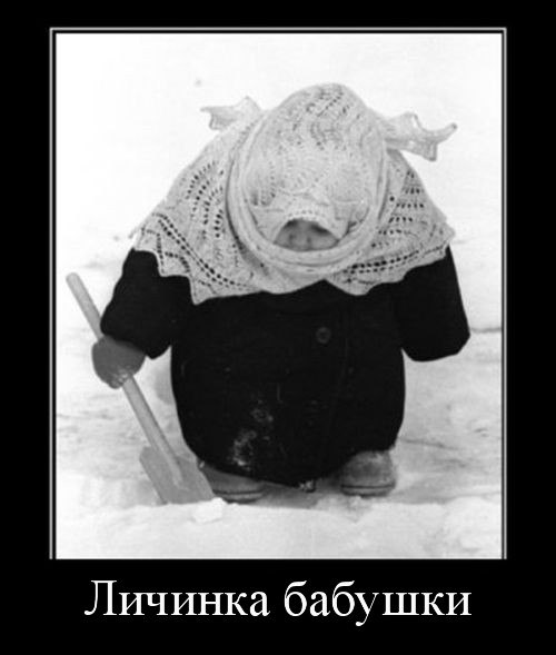 №7, Алексей Бородачёв, 47 лет, Киев №7, Алексей Бородачёв, 47 лет, Киев