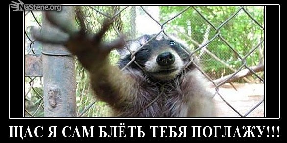 Ильмир Халимов | Салават