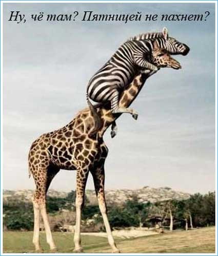 Евгений Карсанаев Афанасьевич | Якутск