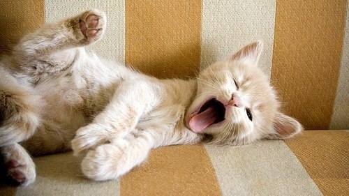 Анатолий Леонов LEO | Кронштадт