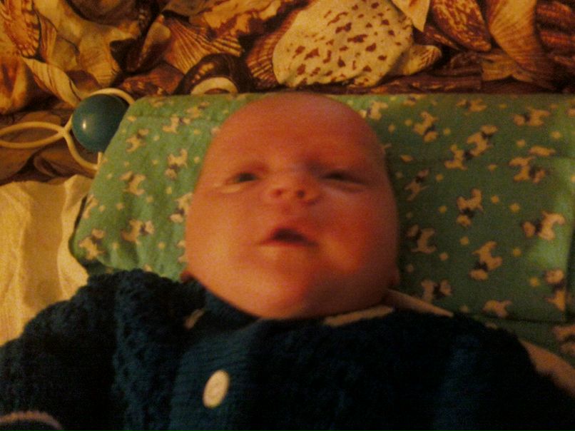 Татьяна Чистякова ~♥ღ♥~ | Хвойная