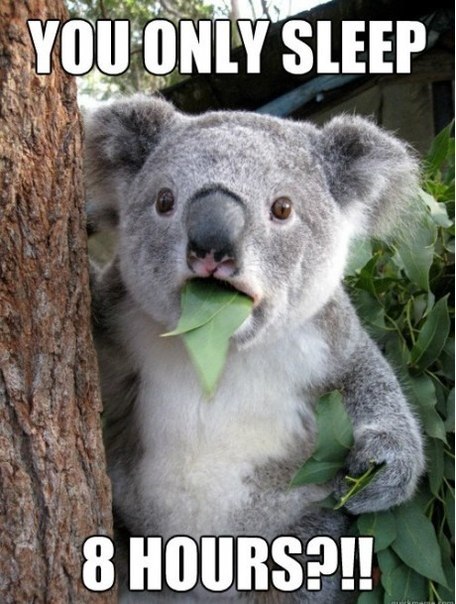 Айдын Садыкжан | Kokopo