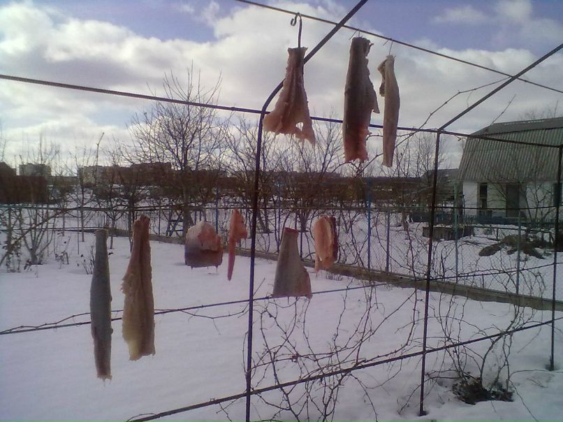 Андрій Гандзій Миколайович | Новоднестровск