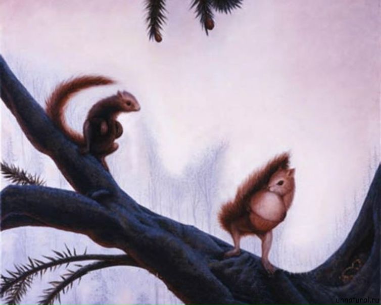 №76, Денис Иванченко, 36 лет №76, Денис Иванченко, 36 лет