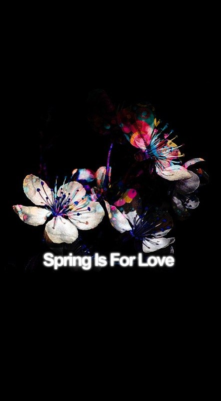 Flay Windelyin | Москва