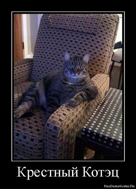 №5, Дмитрий Плешаков №5, Дмитрий Плешаков