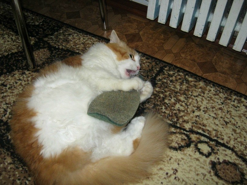 Олег Романцов | Горловка