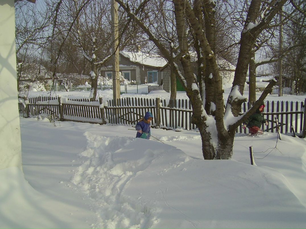 Александр Анисимов | Ялта