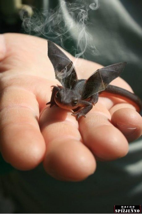 Иван Иванов | 