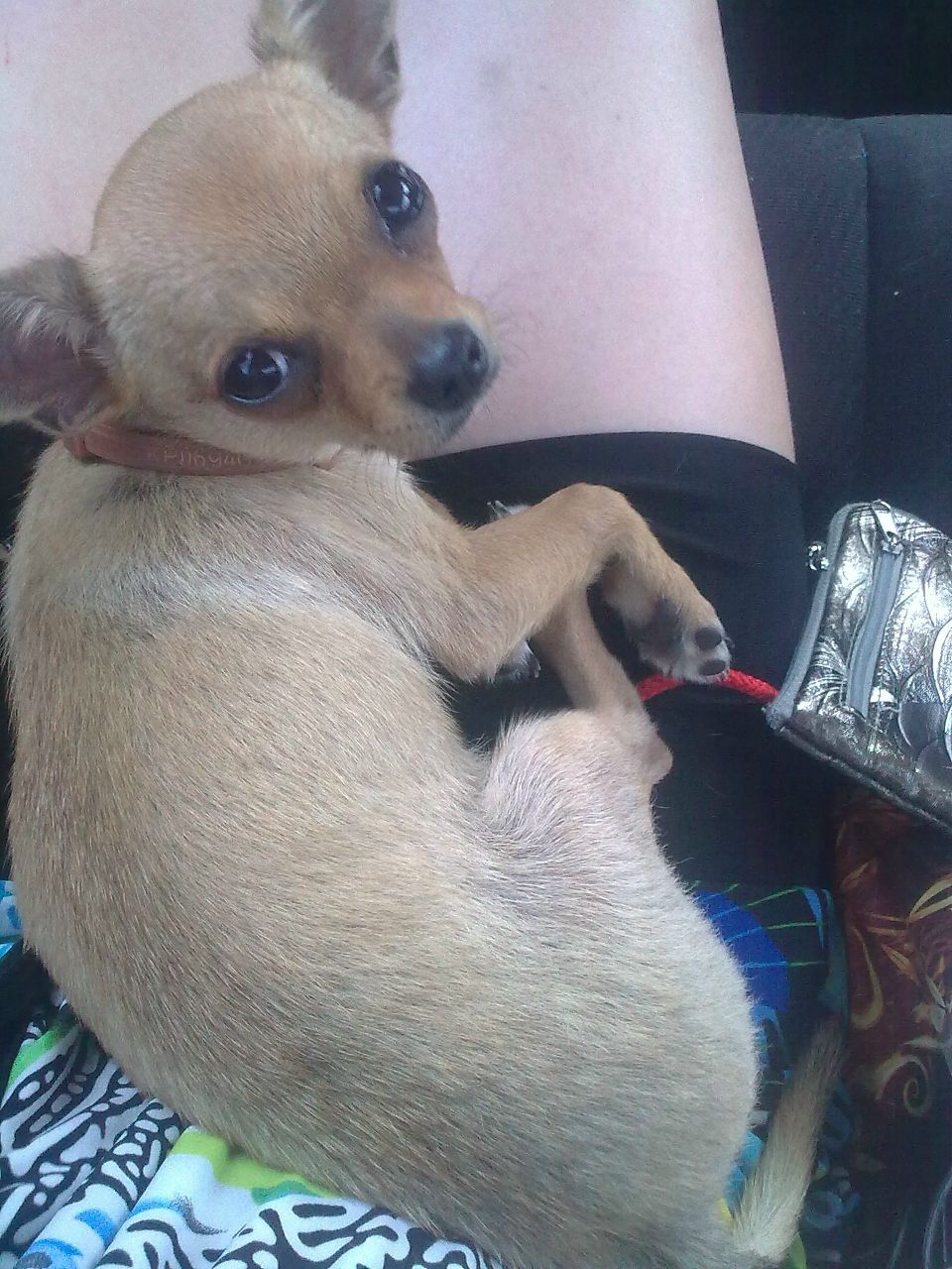 Инна Фадеева | Могилёв