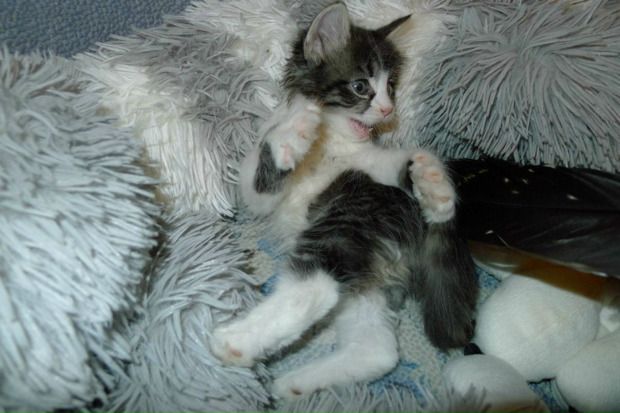 Настена Абрамова | Санкт-Петербург