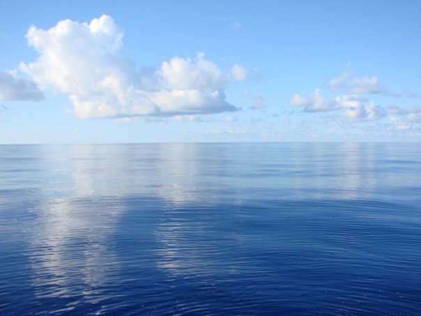 Вера Коновалова Zelen' | 