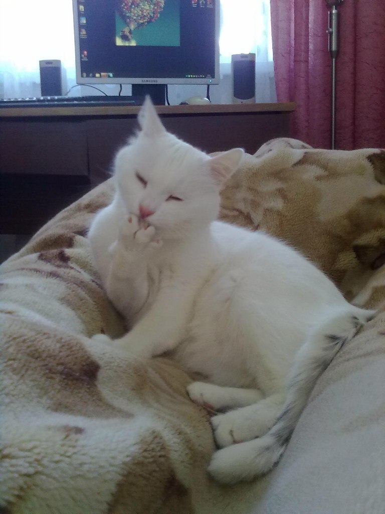 Таня Иванова | Минск