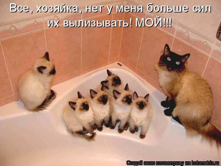 Мариша Ардатова | Нижний Новгород