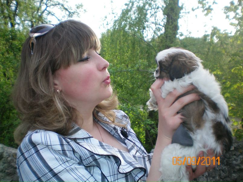 №41, Катюшка Бригадир, Тернополь №41, Катюшка Бригадир, Тернополь