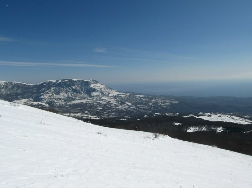 Алёна Шарая Миколаївна | Кривой Рог